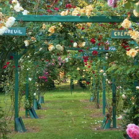 Tatil Evi La Maison Des Roses